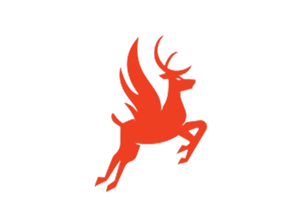 Trenz boxing gloves 2024 price